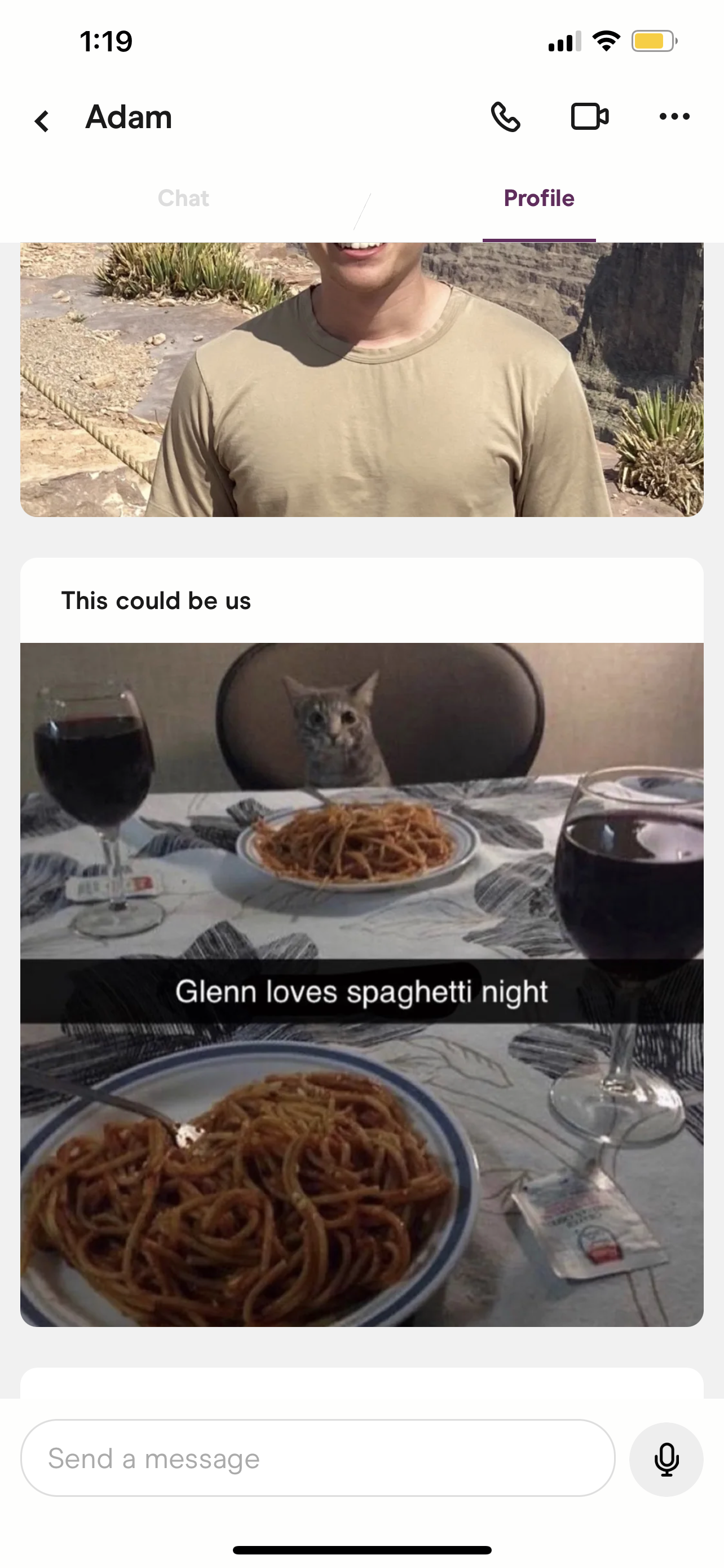 Glenn the cat